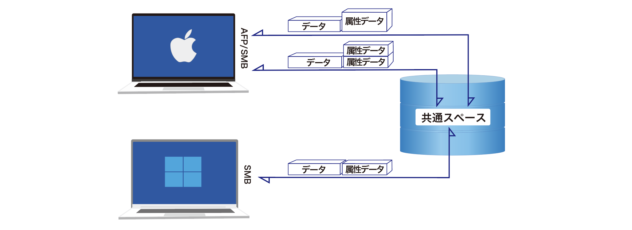 CLASTOR-FSLX_Attribute-view